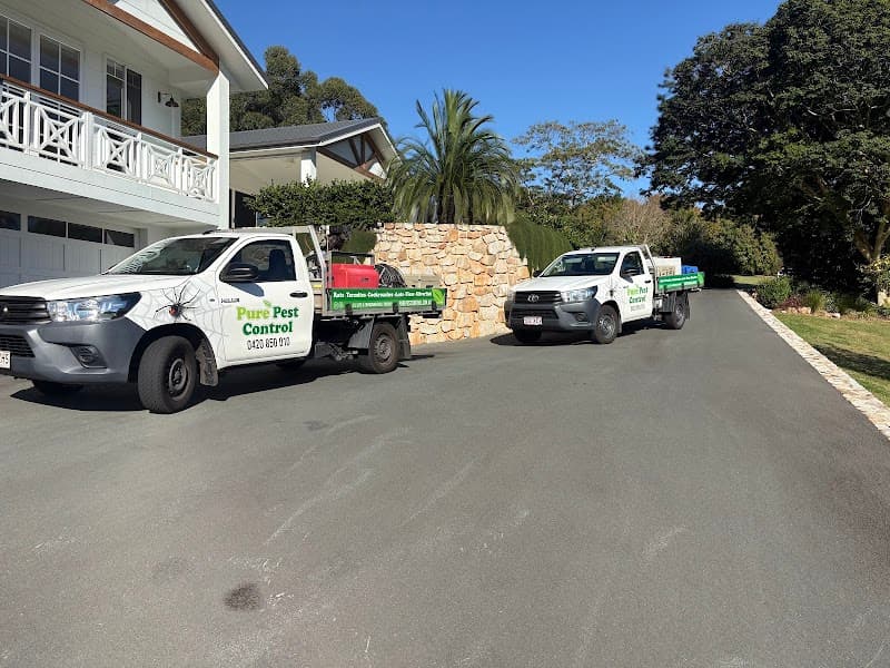 Pure Pest Control pest control work in Little Mountain