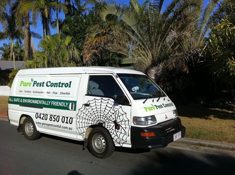 Pure Pest Control pest control work in Little Mountain