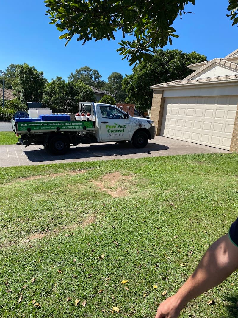 Pure Pest Control pest control work in Little Mountain
