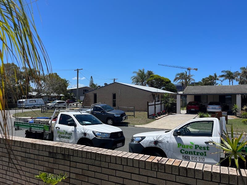 Pure Pest Control pest control work in Little Mountain