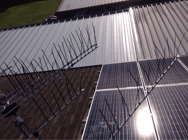 QLD Electrical & Solar pty ltd solar panel installation work in Margate
