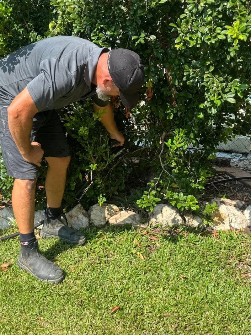 Quack Pest Control pest control work in Winnellie