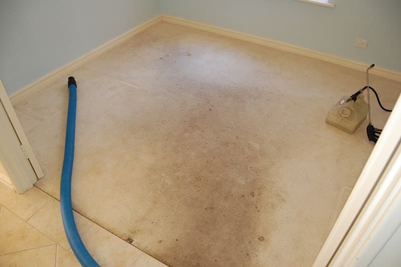 Quality Carpet Cleaners carpet cleaning work in Ocean Reef
