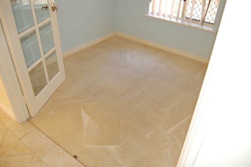Quality Carpet Cleaners carpet cleaning work in Ocean Reef