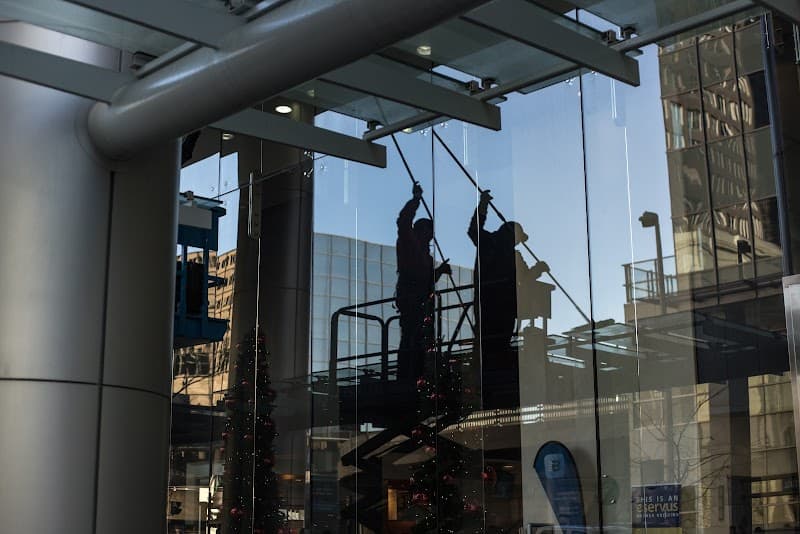 QueenBee Cleaning cleaning work in Deakin