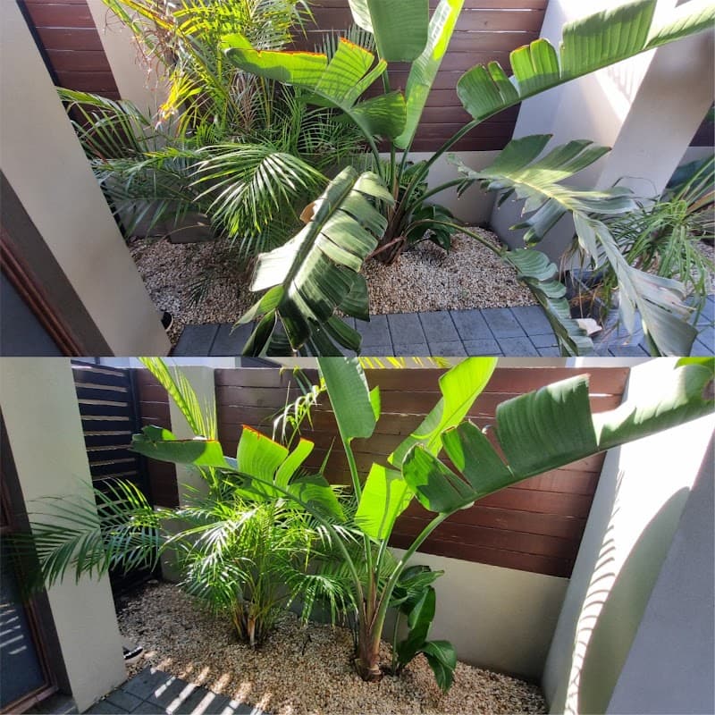 Quin's Groundskeeping landscaping work in Safety Bay