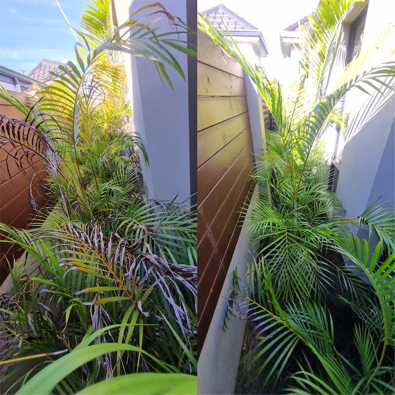 Quin's Groundskeeping landscaping work in Safety Bay