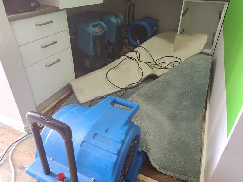 Rapid Dry Carpet Cleaning and Flood Restoration Geelong carpet cleaning work in Geelong