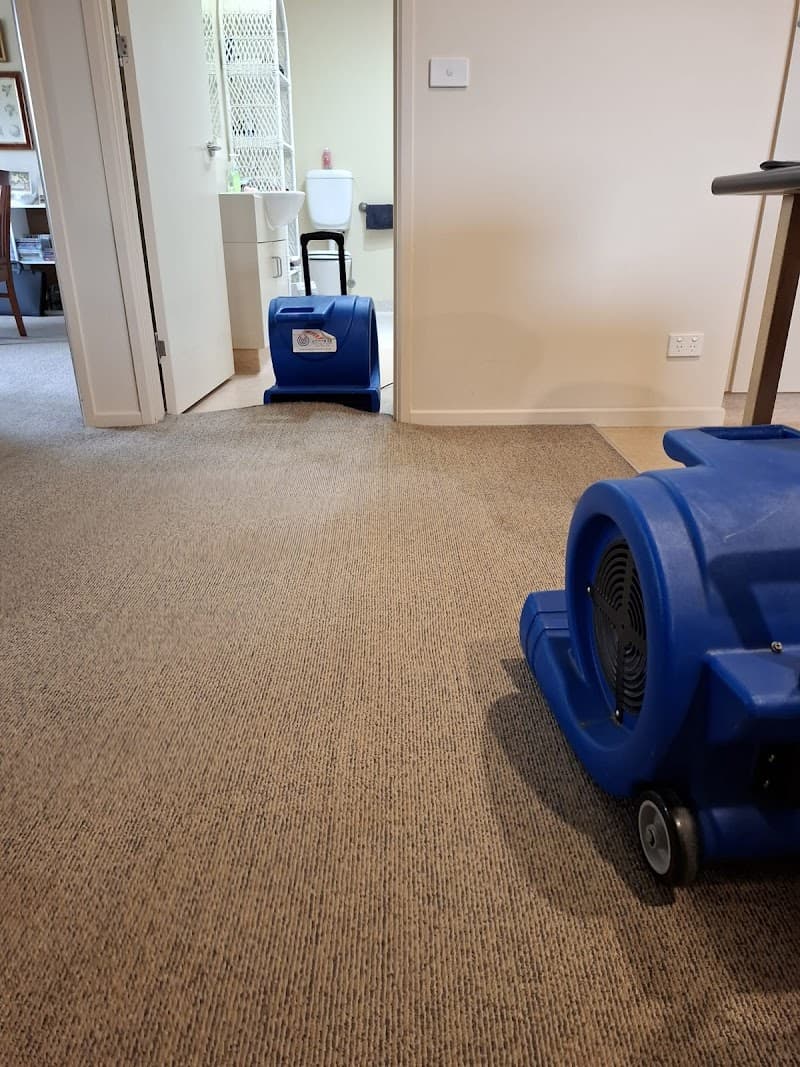 Rapid Dry Carpet Cleaning and Flood Restoration Geelong carpet cleaning work in Geelong