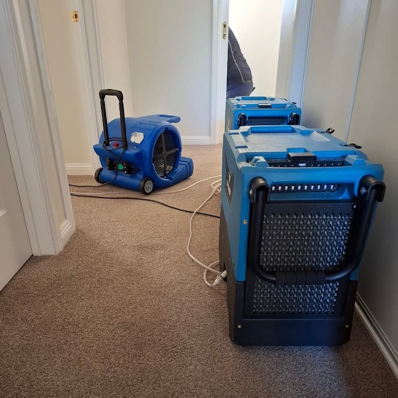 Rapid Dry Carpet Cleaning and Flood Restoration Geelong carpet cleaning work in Geelong
