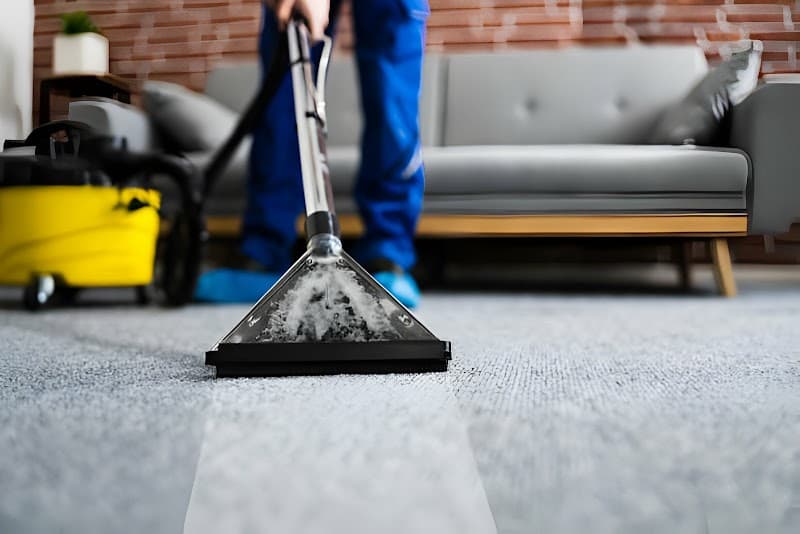 Rapid Refresh Carpet Tile & Pest carpet cleaning work in Thornlands