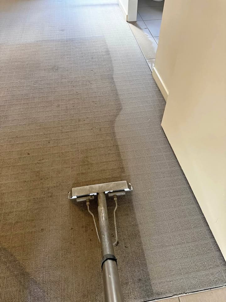 Rapid Refresh Carpet Tile & Pest carpet cleaning work in Thornlands