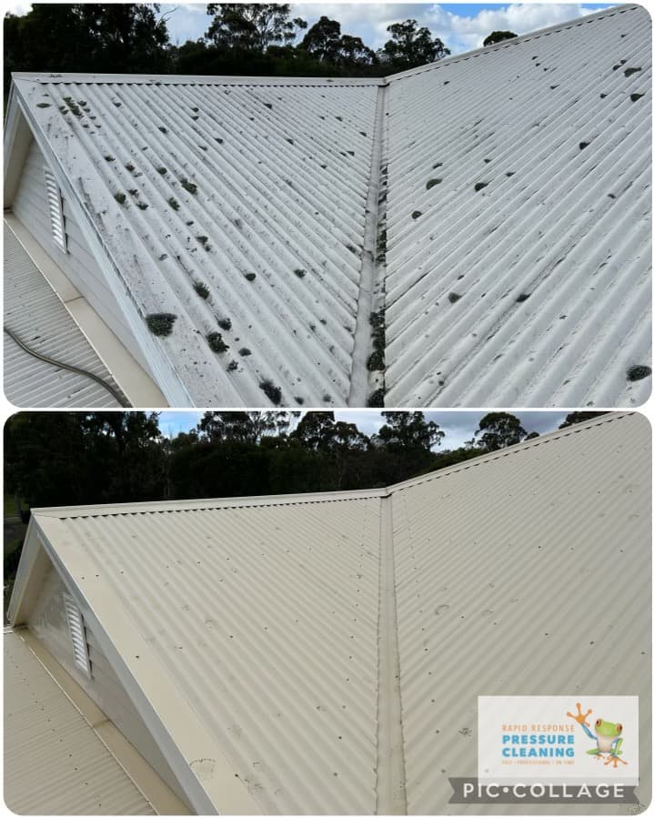 Rapid Response Pressure Cleaning pressure washing work in Langwarrin
