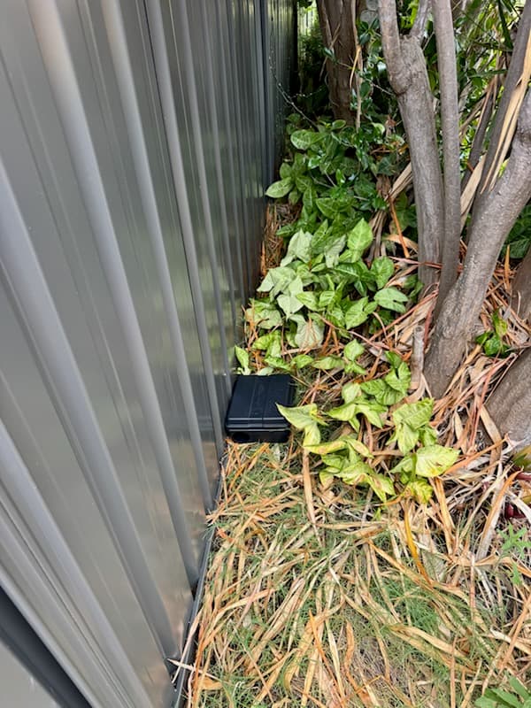 Rats Pest Control Perth pest control work in Landsdale
