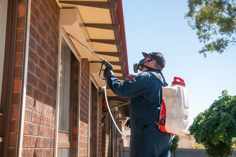 real estate pest control pest control work in Blakeview