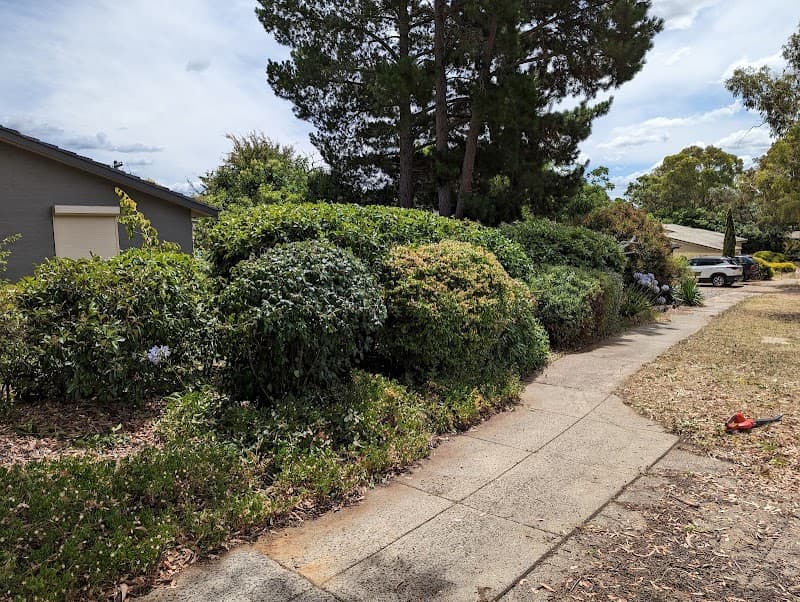 Realityscapes CBR gardening work in Kingston
