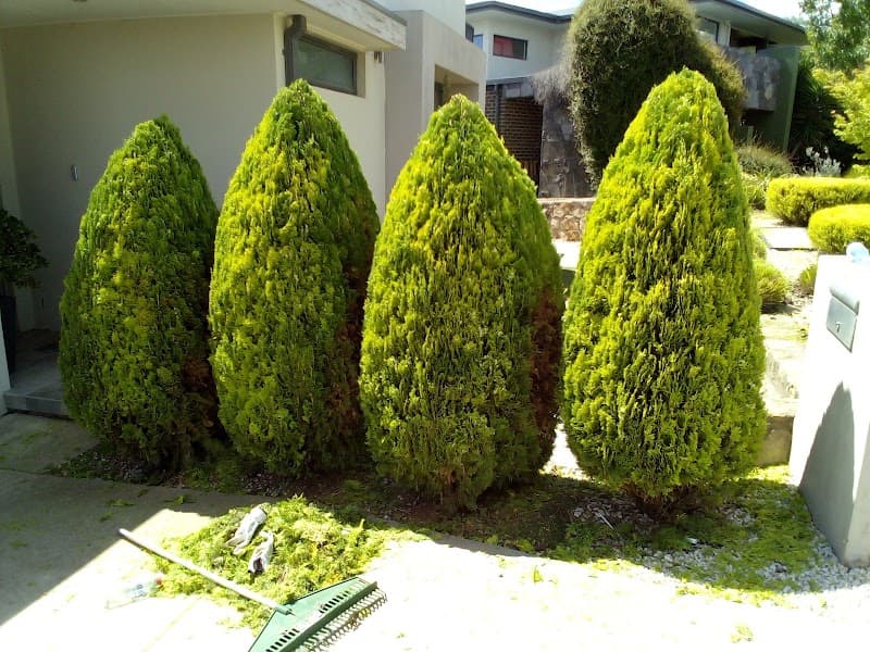 Realityscapes CBR gardening work in Kingston