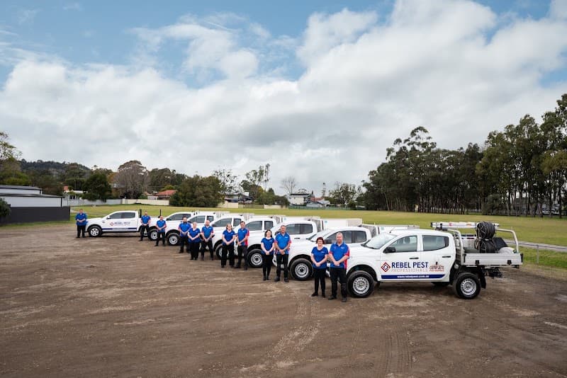 Rebel Pest Professionals pest control work in Boolaroo