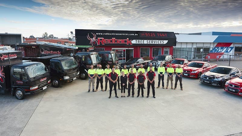 Redback Tree Services tree services work in Dingley Village