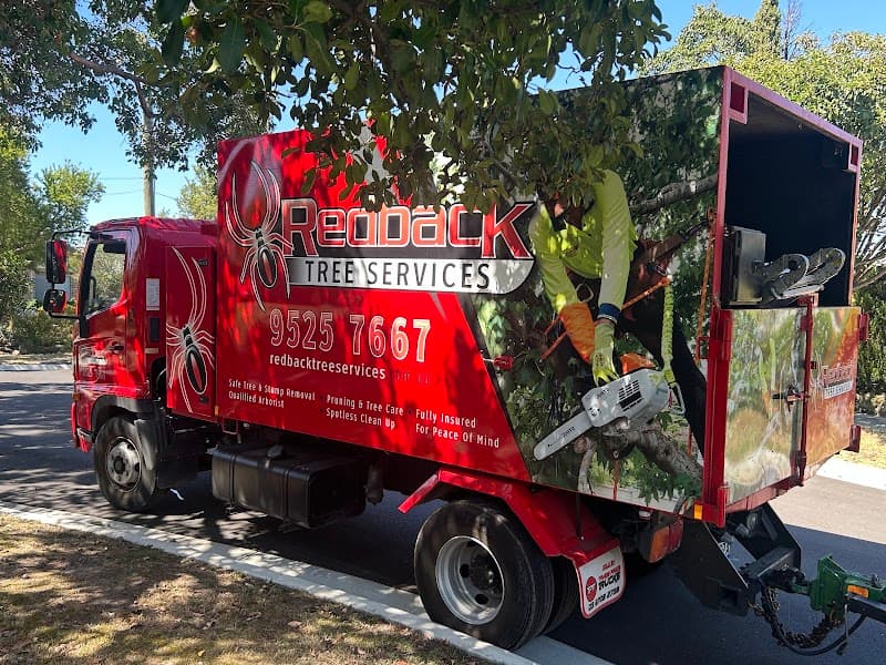 Redback Tree Services tree services work in Dingley Village