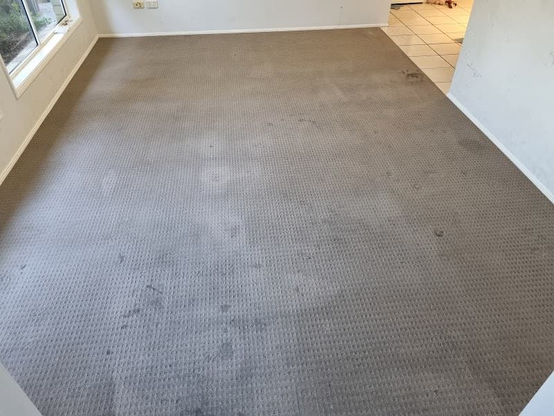 Redlands Cleaning Solutions carpet cleaning work in Redland Bay