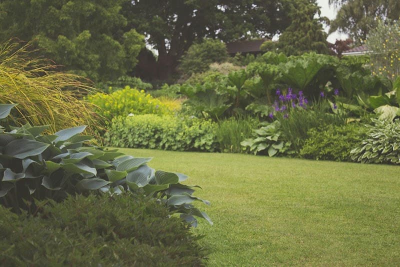 Redlands Lawncare landscaping work in Victoria Point