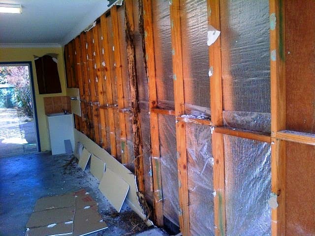 Redlands Pest Control pest control work in Capalaba