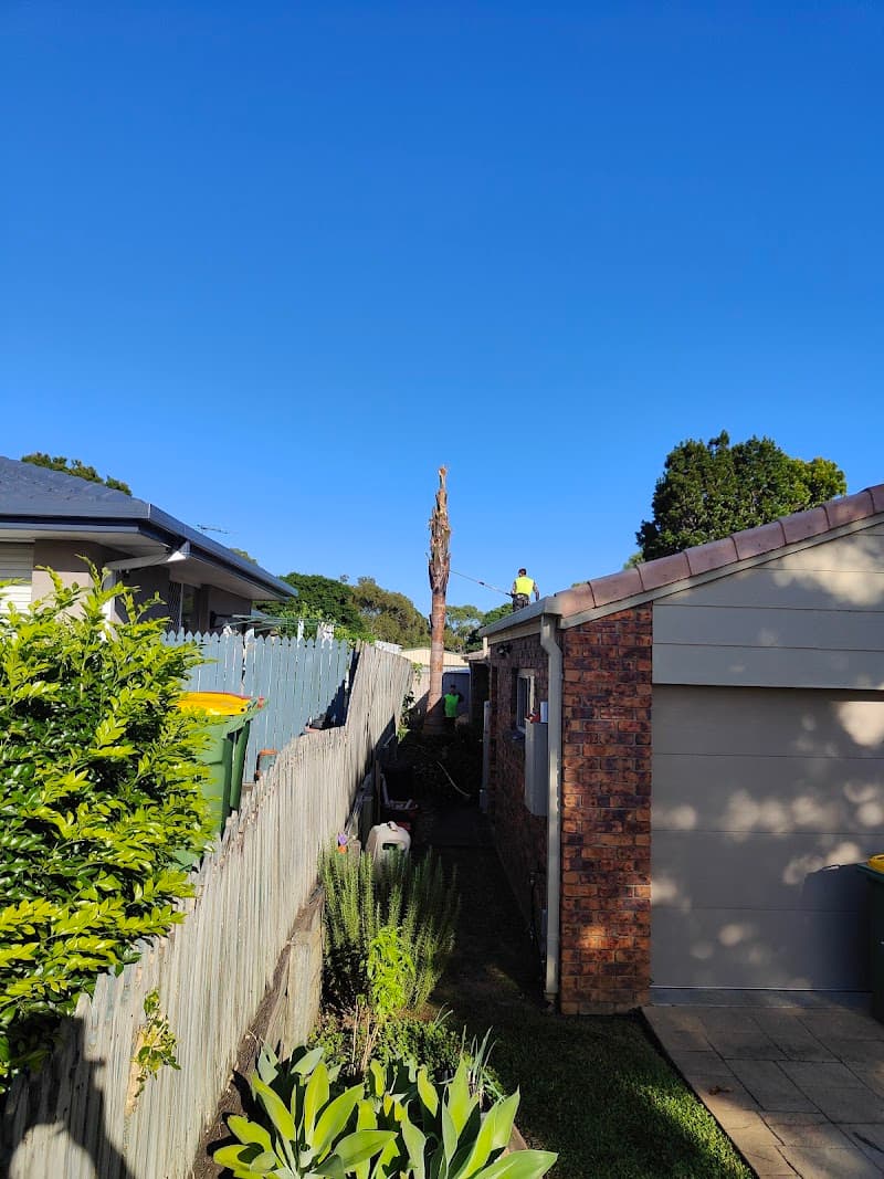 Redlands Tree Experts tree services work in Alexandra Hills