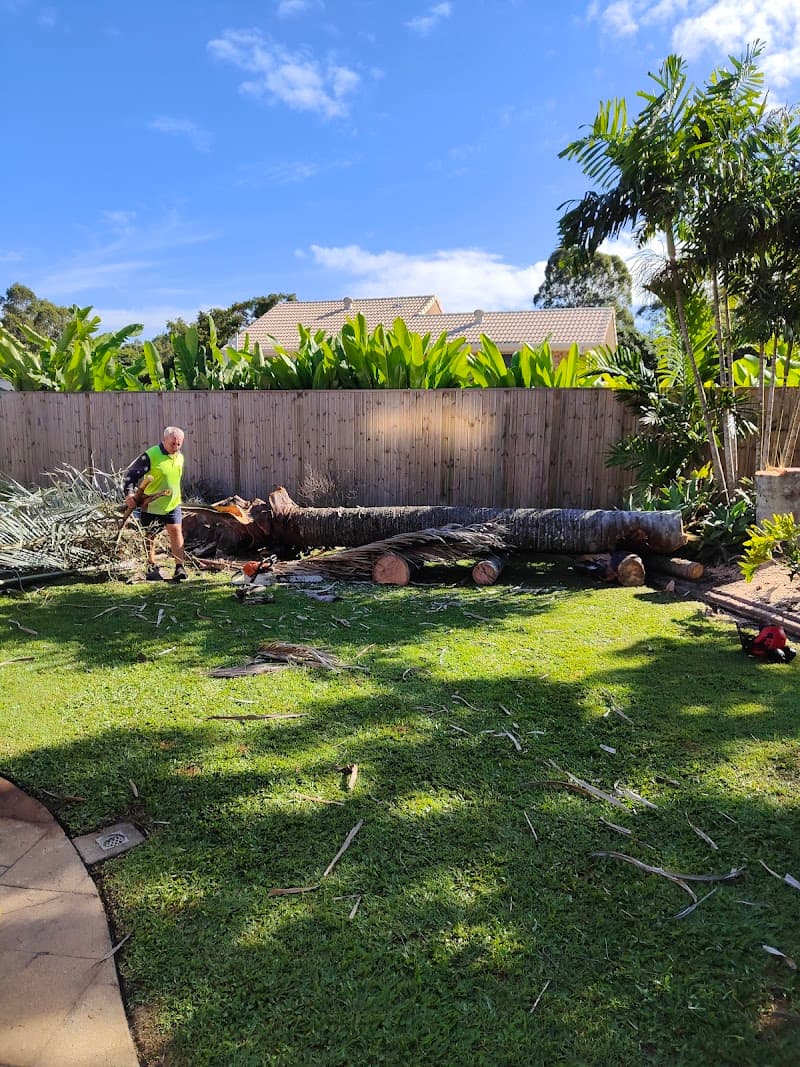 Redlands Tree Experts tree services work in Alexandra Hills