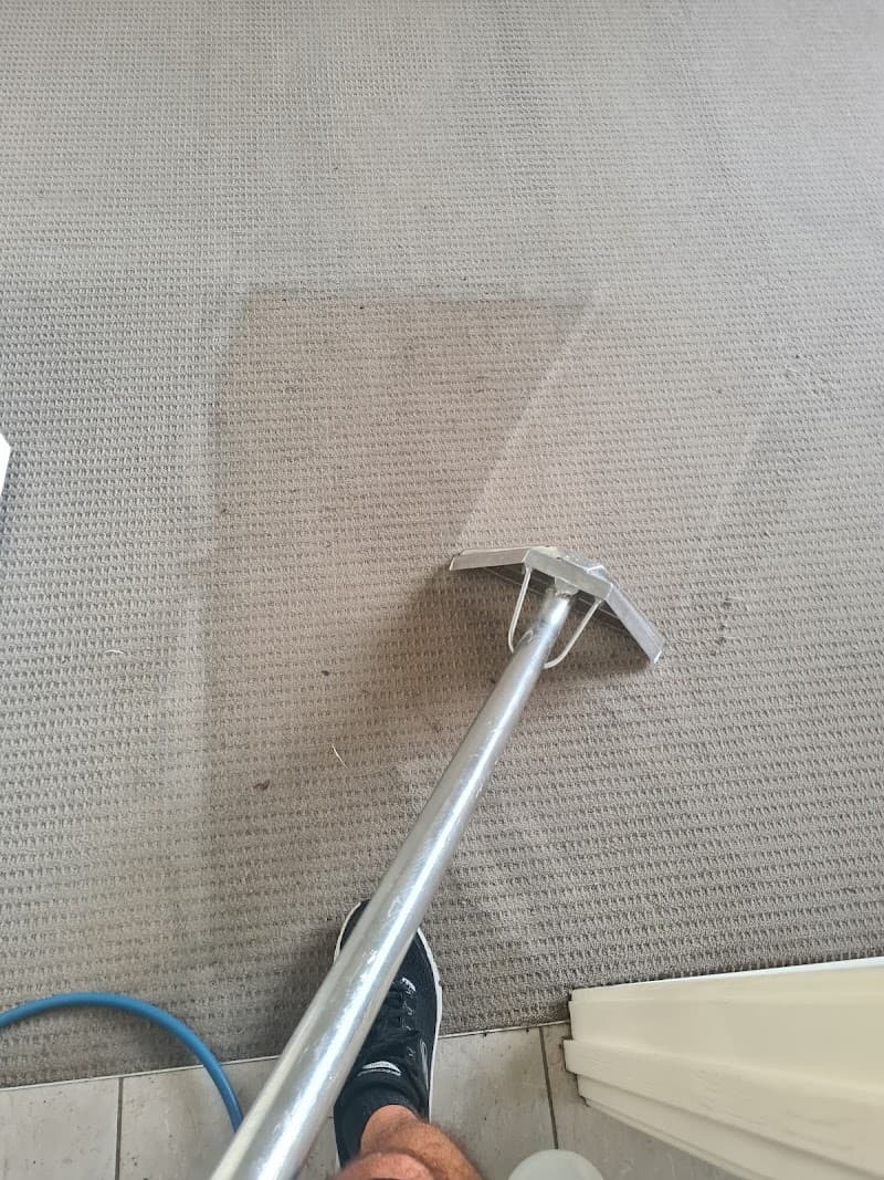 Refresh Carpet Cleaning Newcastle carpet cleaning work in Newcastle