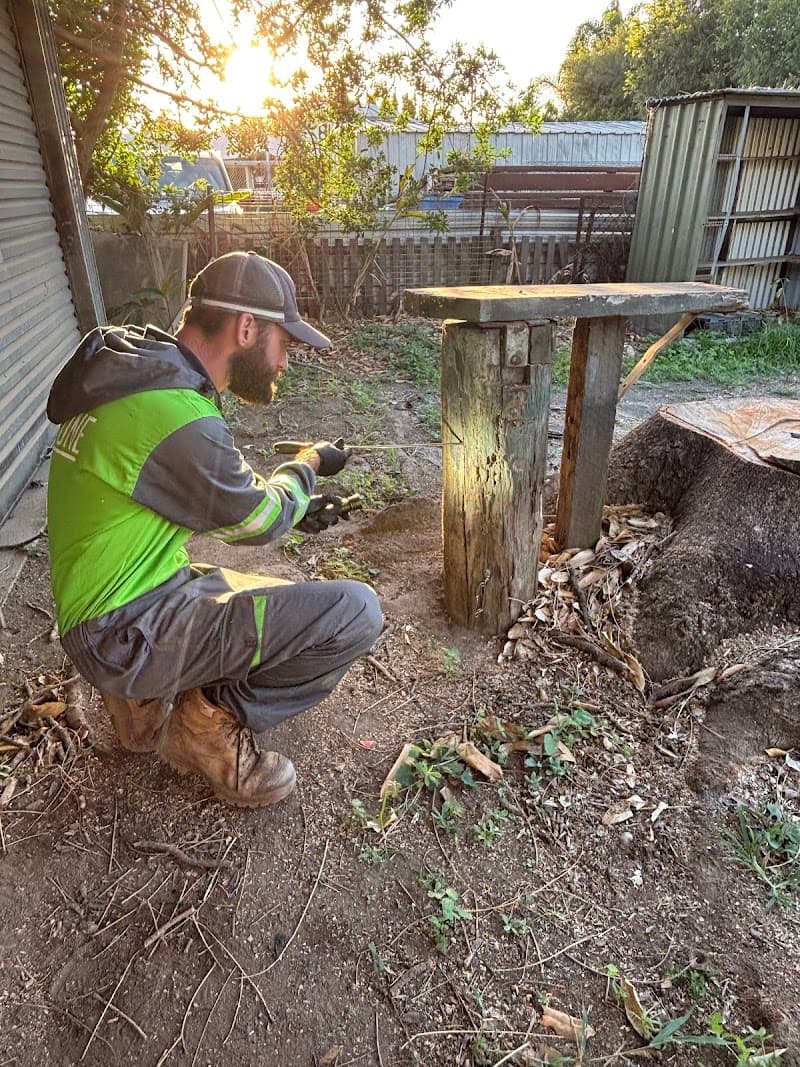 Reli-Ant Pest Management pest control work in Walkervale