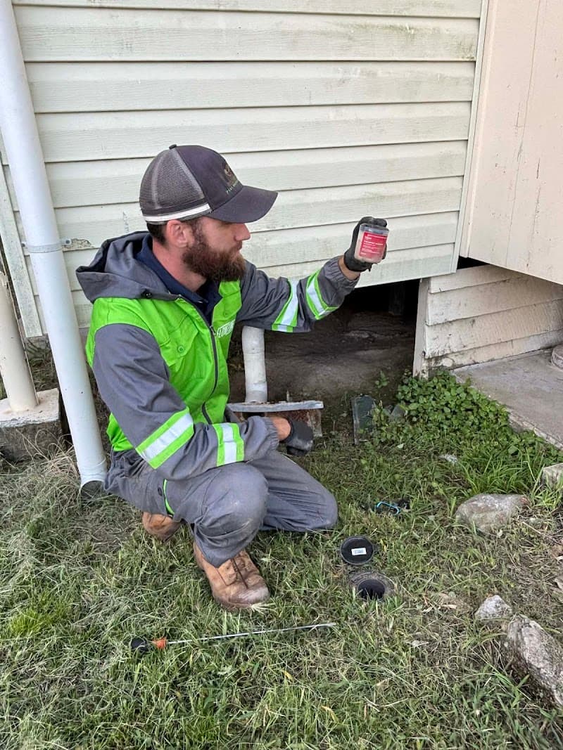 Reli-Ant Pest Management pest control work in Walkervale