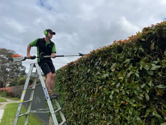 Reliable Garden Services ACT gardening work in Curtin