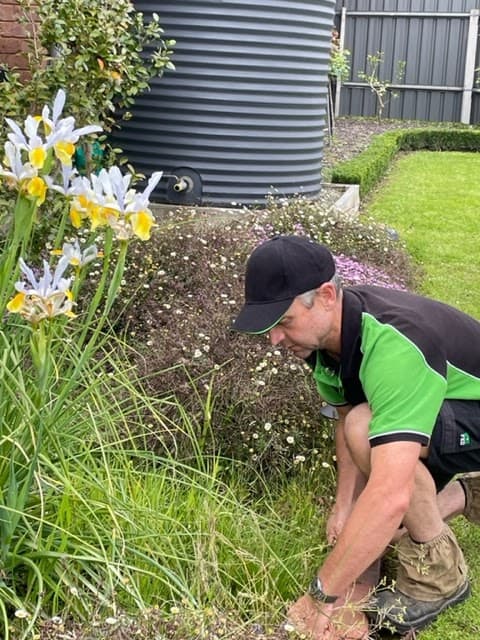Reliable Garden Services ACT gardening work in Curtin