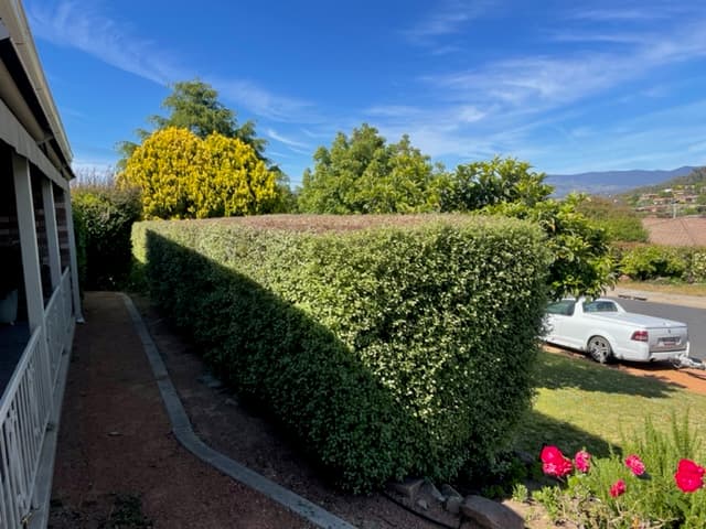 Reliable Garden Services ACT gardening work in Curtin