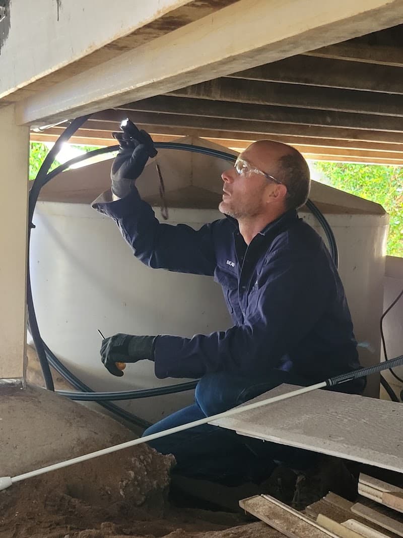 Reliable Pest Control Sarina & Surrounds pest control work in Sarina