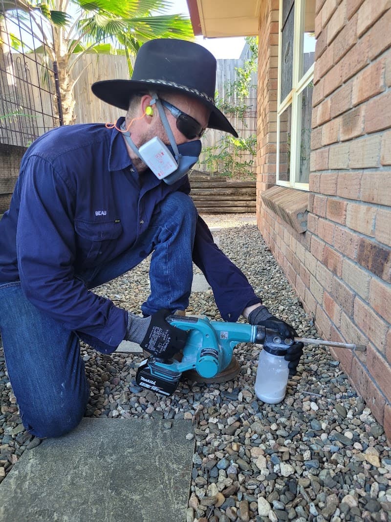 Reliable Pest Control Sarina & Surrounds pest control work in Sarina