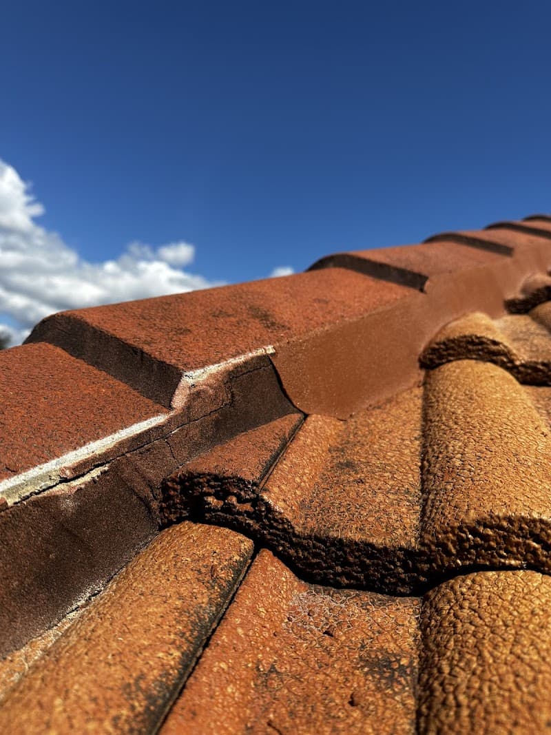 Renewed Roofing Pty Ltd roofing work in North Lakes