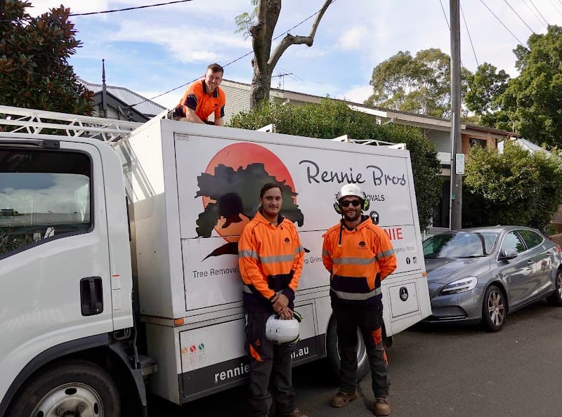Rennie Bros Tree Services tree services work in Kirrawee