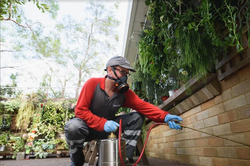 Rentokil Pest Control Adelaide pest control work in Regency Park