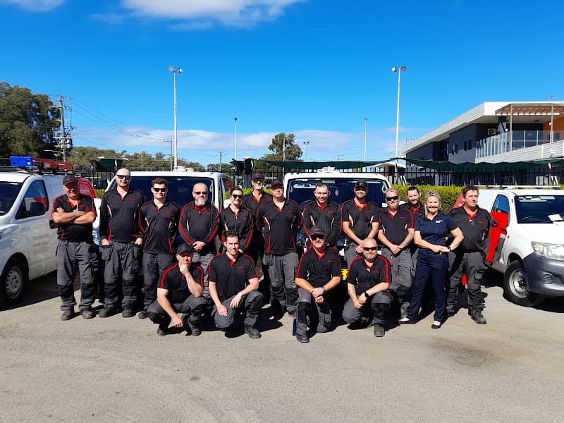 Rentokil Pest Control Newcastle pest control work in Sandgate