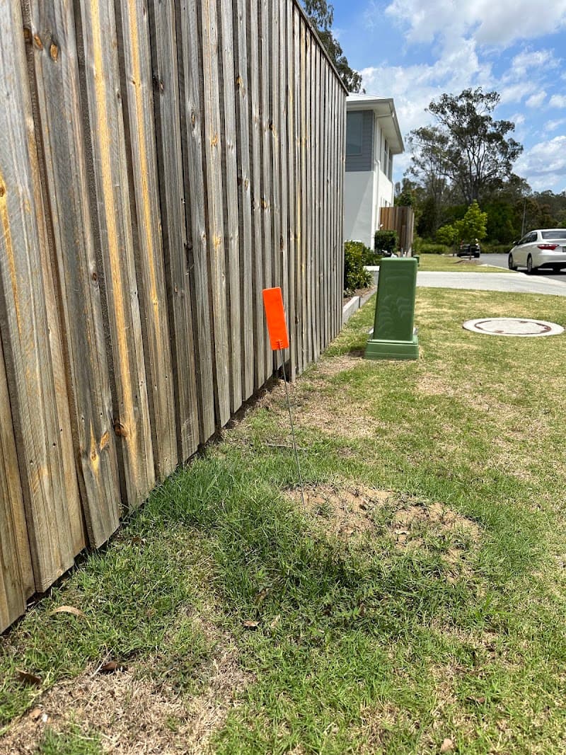 Response Pest Control pest control work in Mansfield
