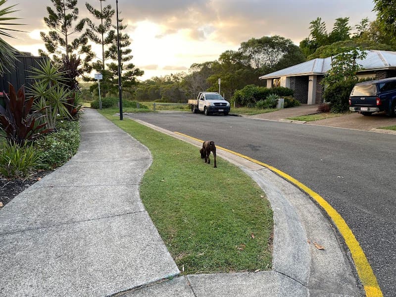 Revival Lawn Care landscaping work in Logan Reserve