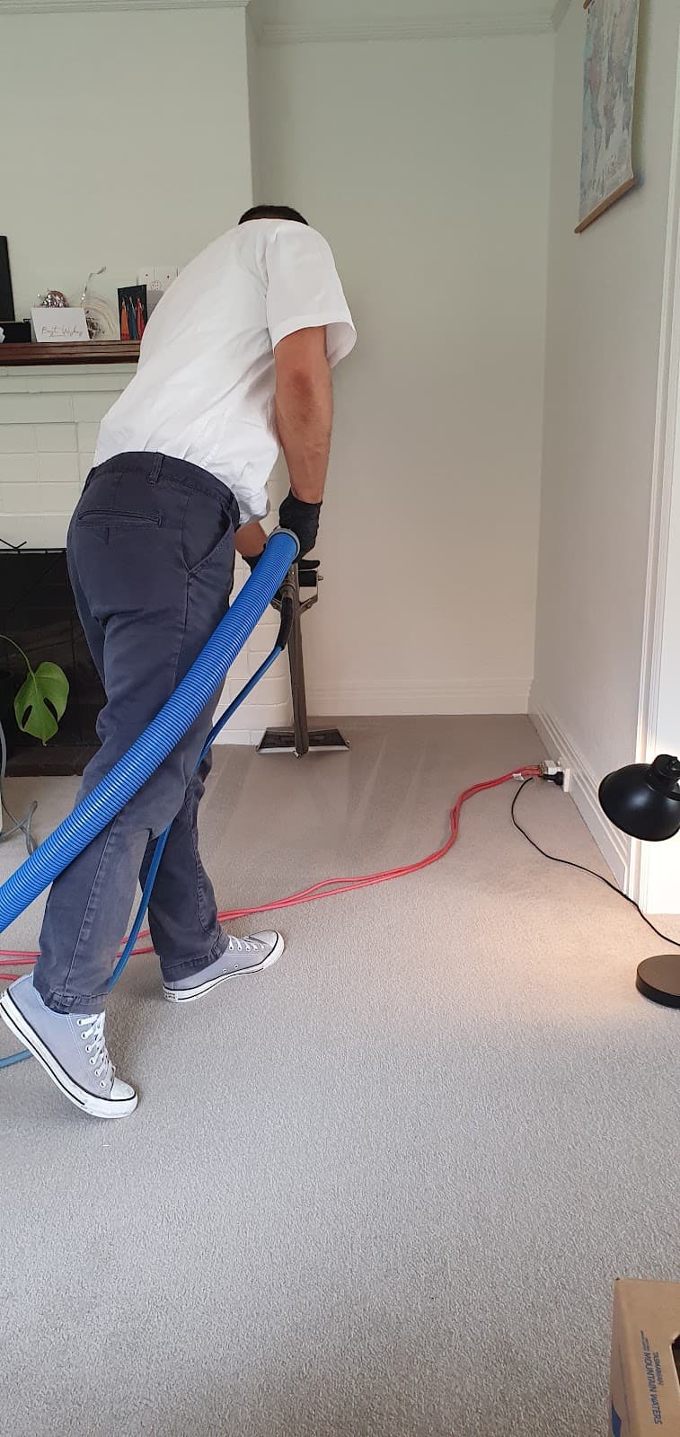 Revive Carpet Cleaning carpet cleaning work in Sydney