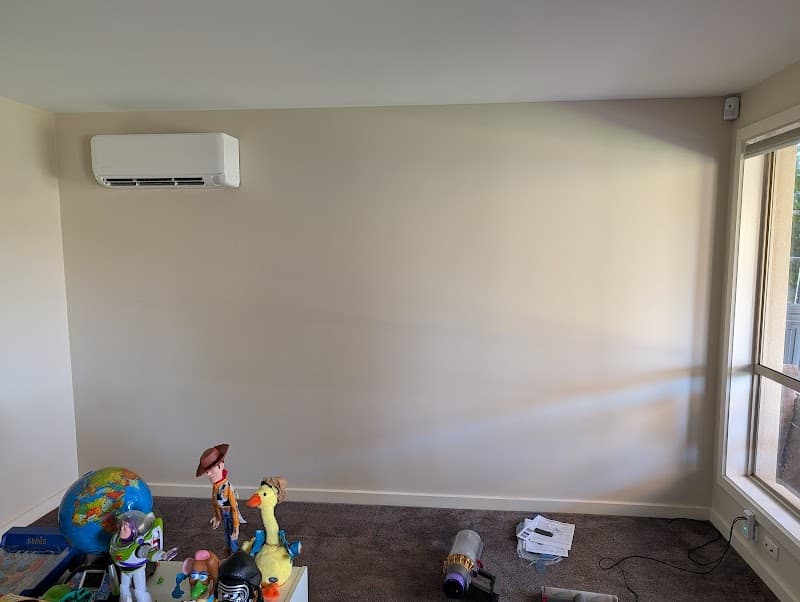 Rincon Electrical electrician work in Highton