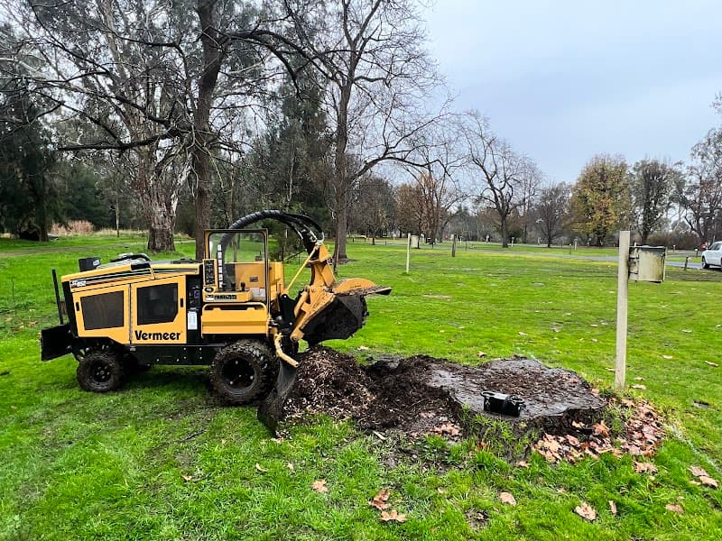 Riverina Tree Care tree services work in Wodonga