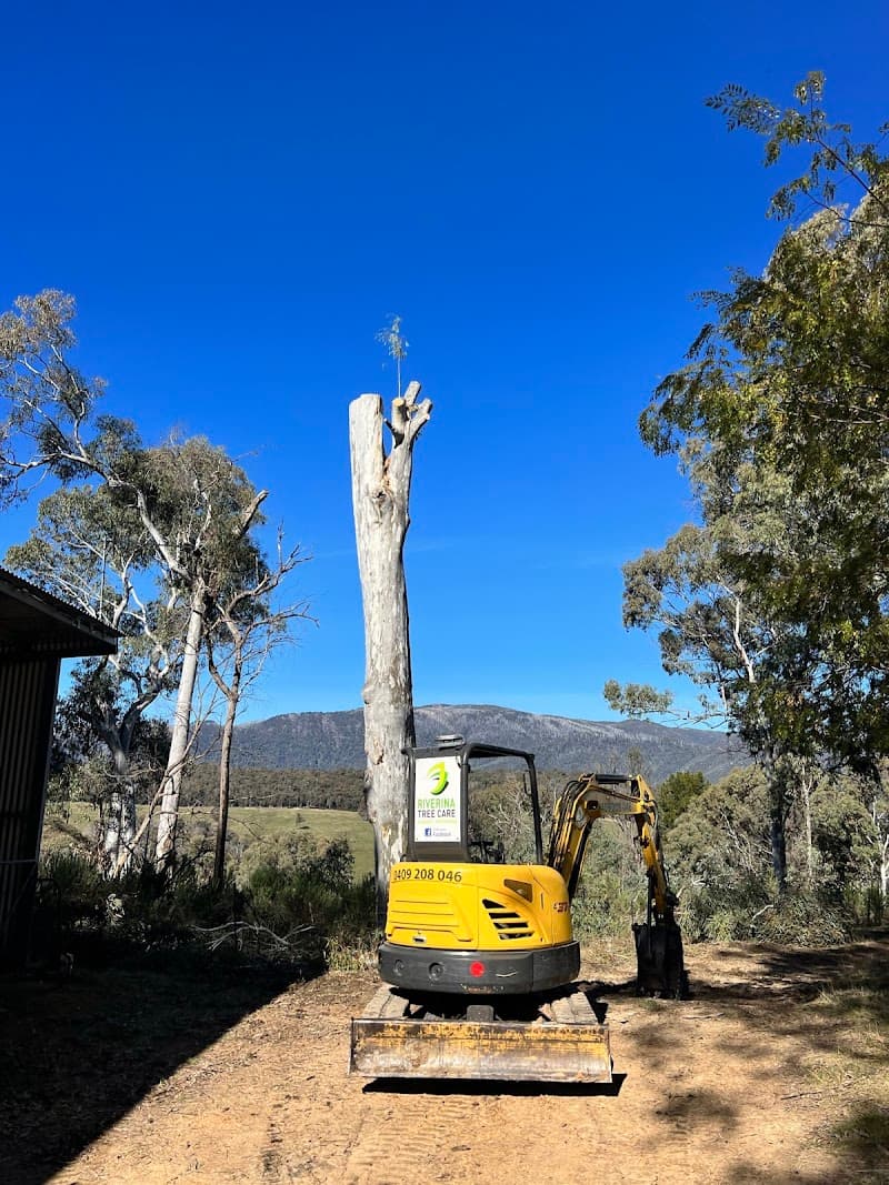 Riverina Tree Care tree services work in Wodonga