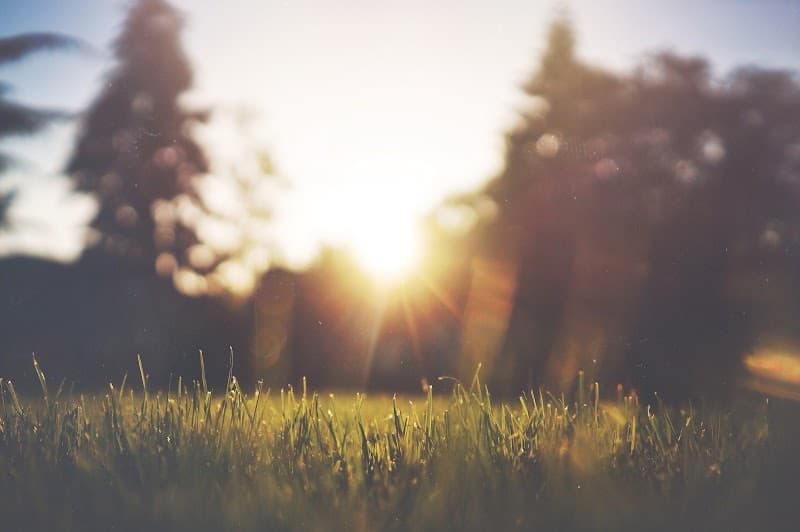 RMC’S Lawn Mowing & Gardening Service Toowoomba landscaping work in Drayton