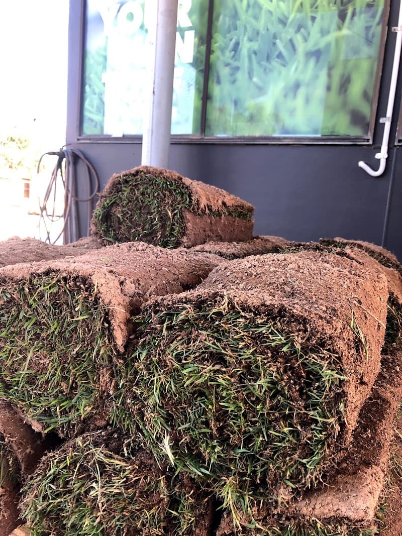 Rock ‘n’ Soil landscaping work in Chandler
