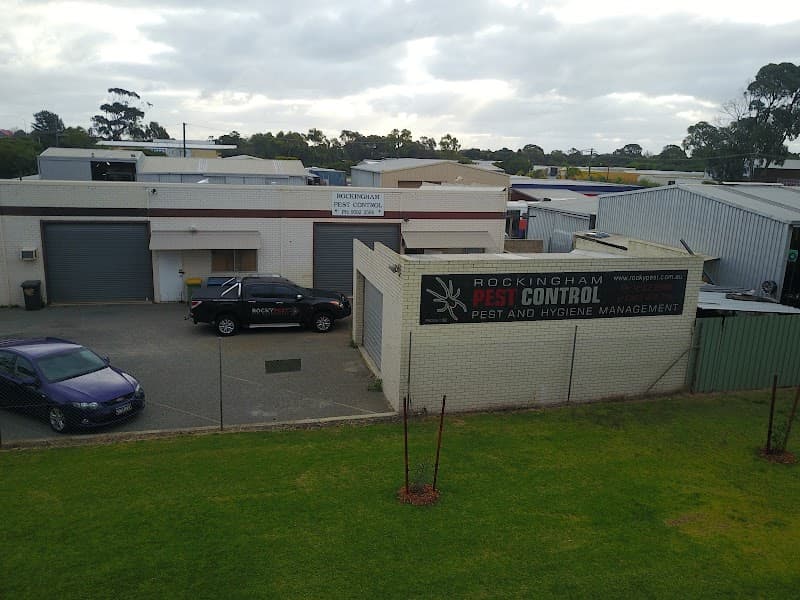 Rockypest pest control work in Rockingham